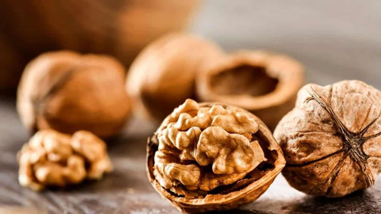 تصویر 4 از فروش مغز گردو خشک + قیمت خرید به صرفه